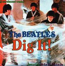 Web Pic - Dig it