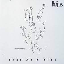 Web Pic - Free As A Bird