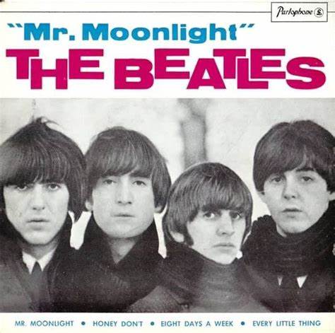 Web Pic - Mr. Moonlight