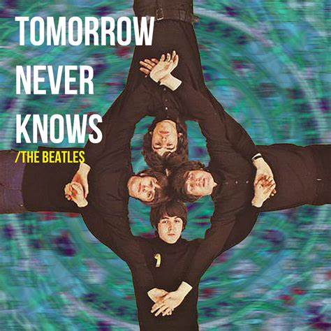 Web Pic - tomorrow never